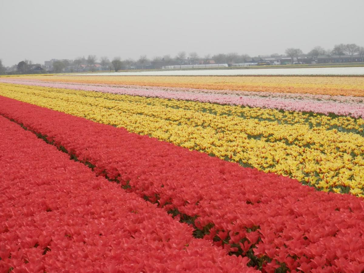 Home For 2 Zuidoostbeemster エクステリア 写真
